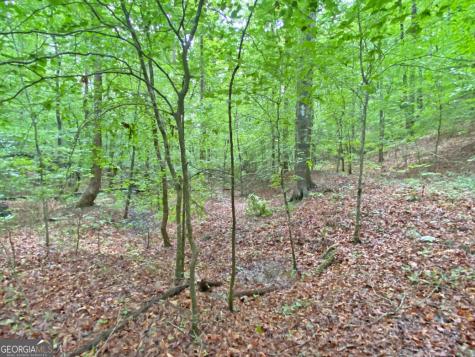 40.7AC Falling Pines Road Dahlonega GA 30533