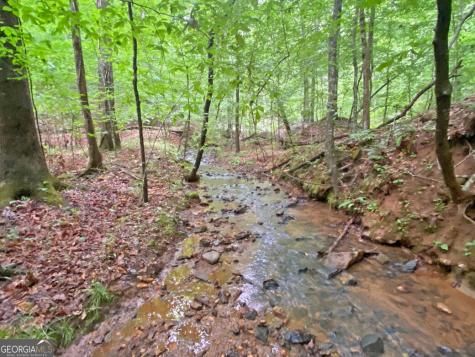 40.7AC Falling Pines Road Dahlonega GA 30533