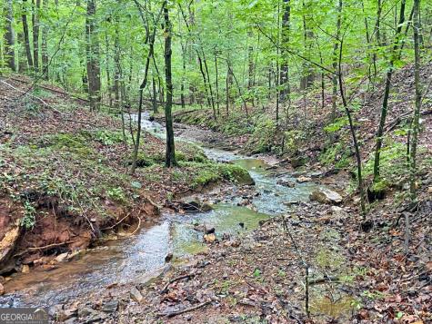 40.7AC Falling Pines Road Dahlonega GA 30533