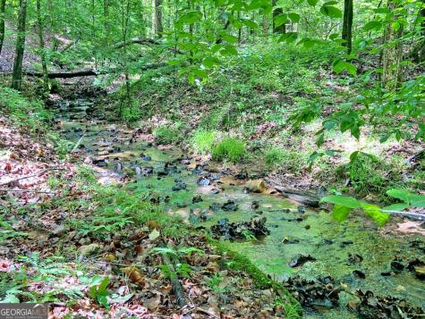 40.7AC Falling Pines Road Dahlonega GA 30533