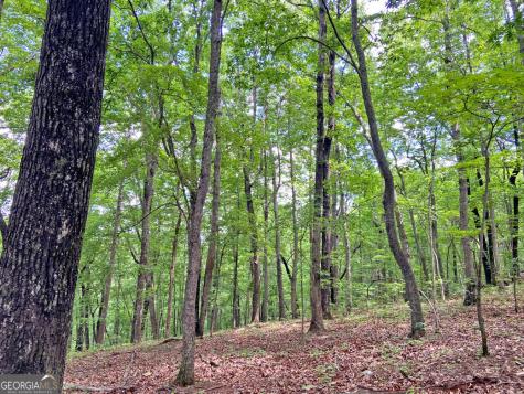 40.7AC Falling Pines Road Dahlonega GA 30533