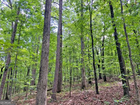40.7AC Falling Pines Road Dahlonega GA 30533