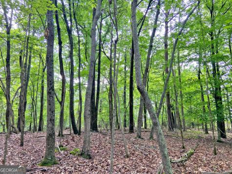 40.7AC Falling Pines Road Dahlonega GA 30533