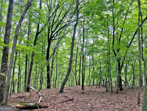 40.7AC Falling Pines Road Dahlonega GA 30533