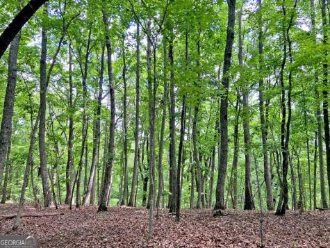 40.7AC Falling Pines Road Dahlonega GA 30533