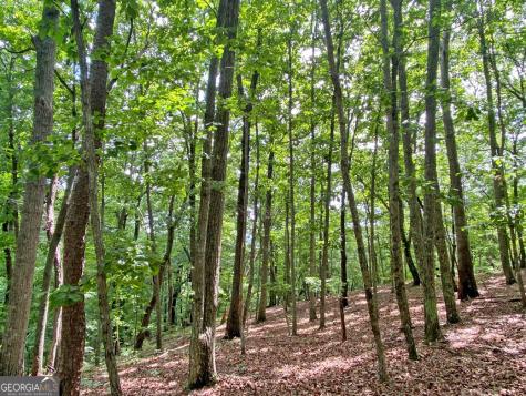 40.7AC Falling Pines Road Dahlonega GA 30533