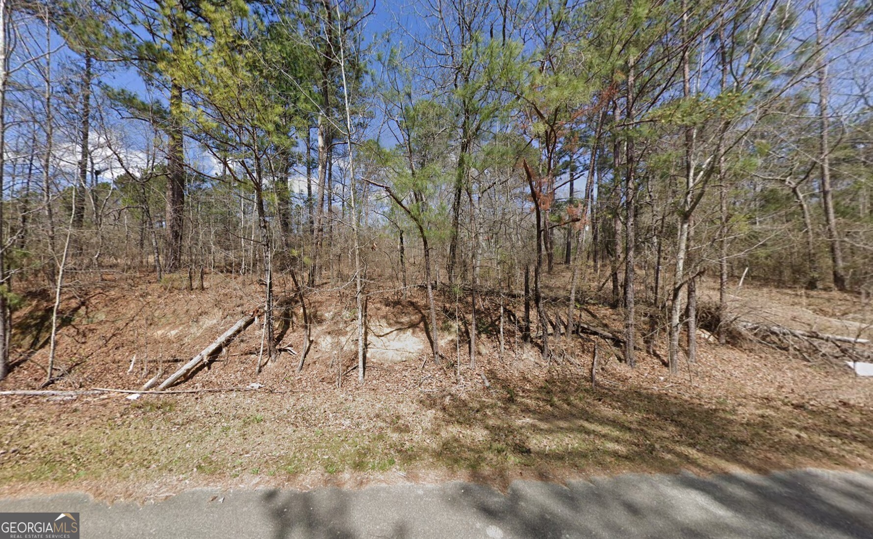 511 Beaver Drive Byron GA 31008