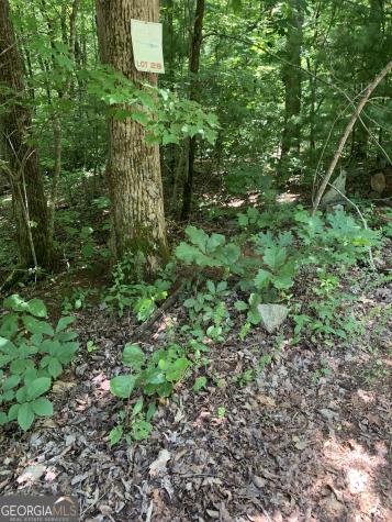 Lot 28 King Mountain Drive Clayton GA 30525