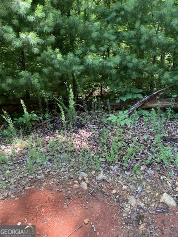 Lot 28 King Mountain Drive Clayton GA 30525