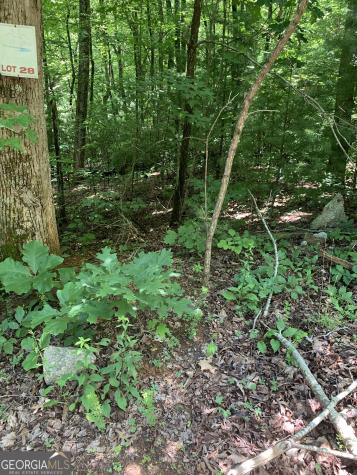 Lot 28 King Mountain Drive Clayton GA 30525