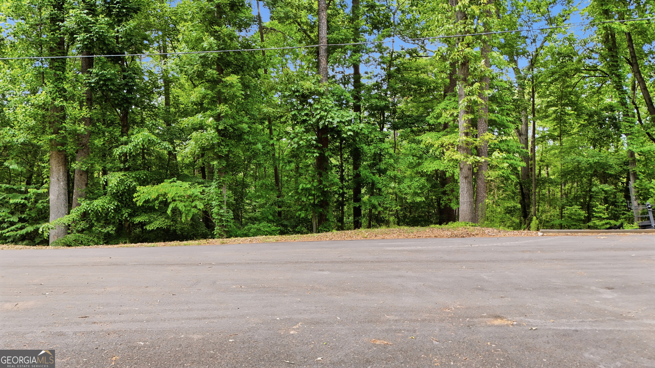 237 Waters Edge Court Martin GA 30557