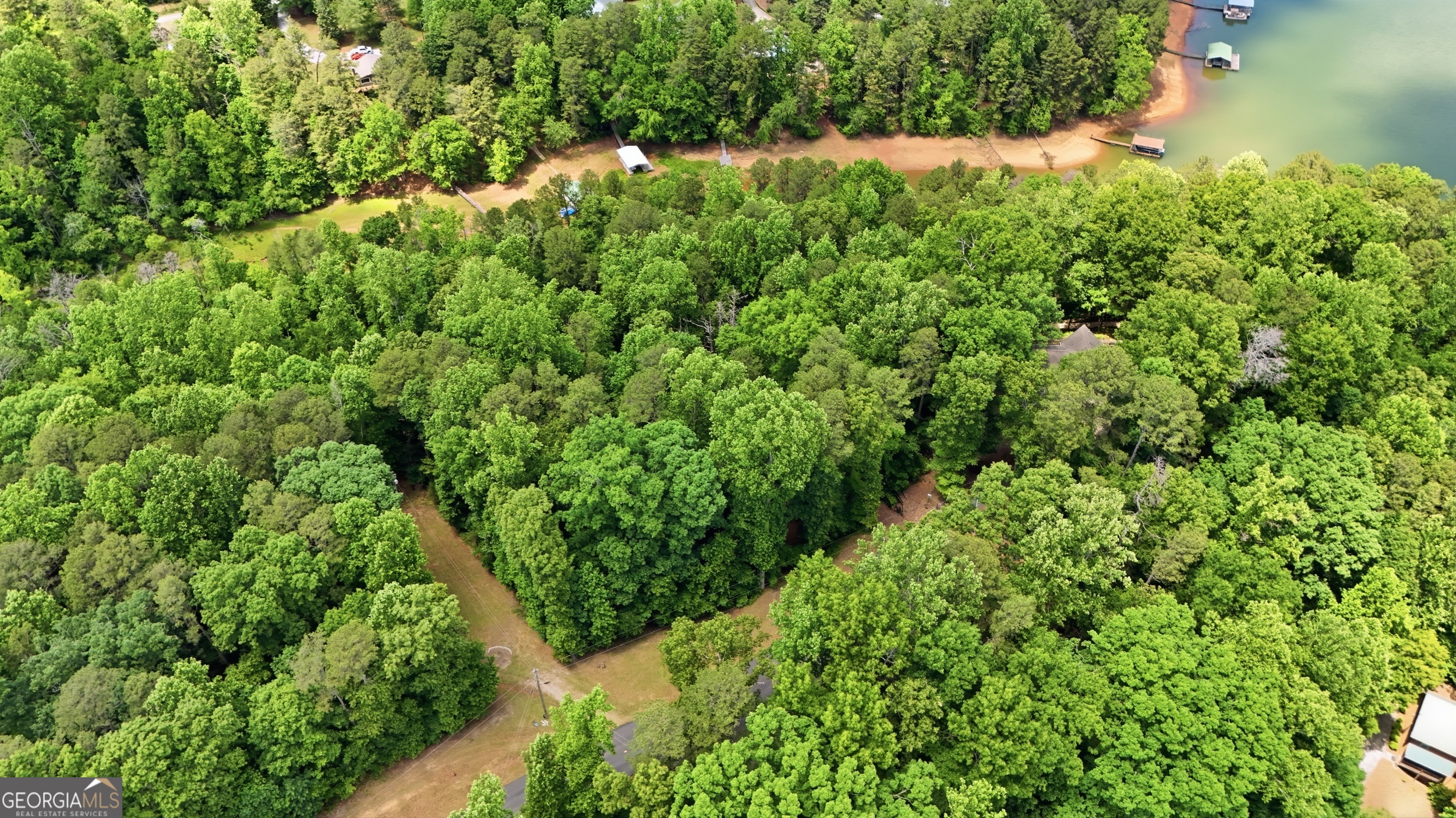 237 Waters Edge Court Martin GA 30557