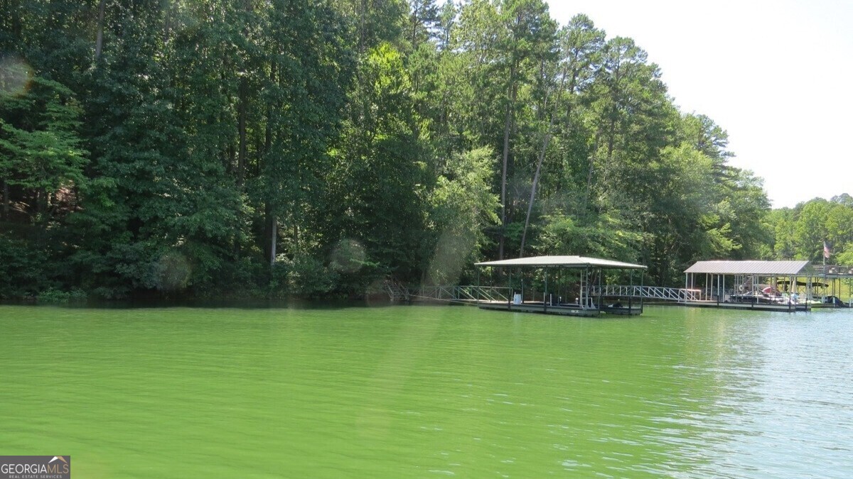 237 Waters Edge Court Martin GA 30557