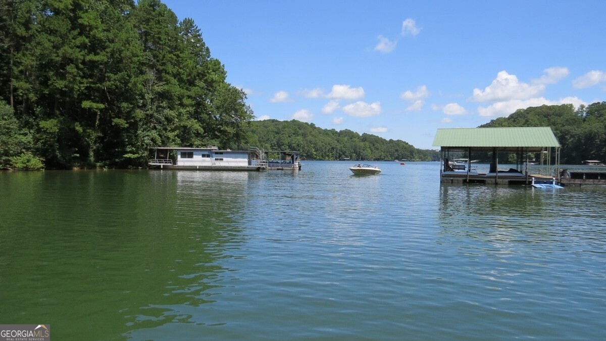 237 Waters Edge Court Martin GA 30557