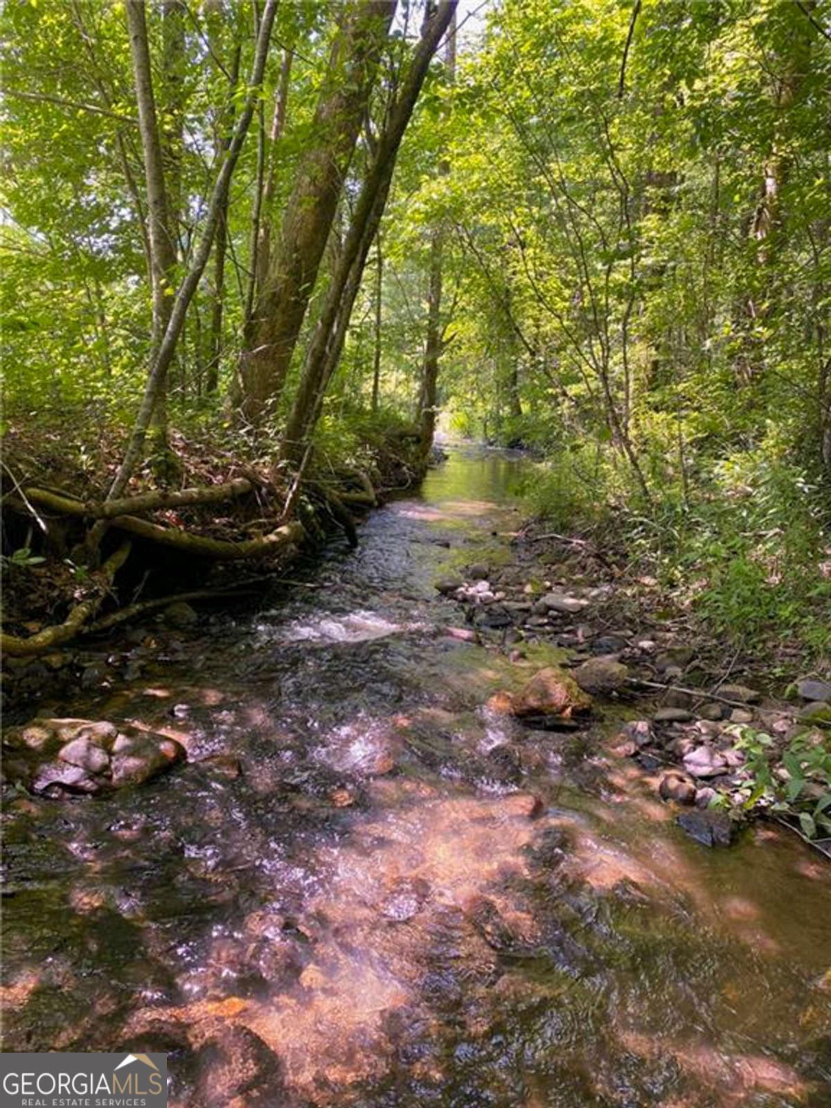 0 Highway 19 N Dahlonega GA 30533