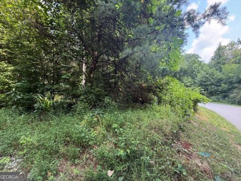0 Highway 19 N Dahlonega GA 30533
