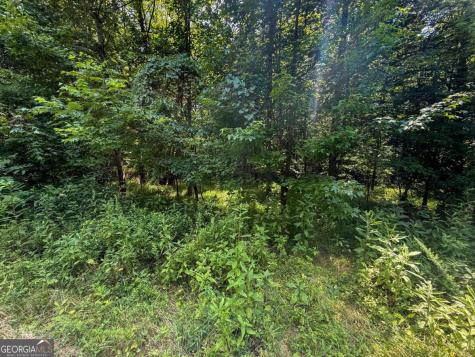 0 Highway 19 N Dahlonega GA 30533