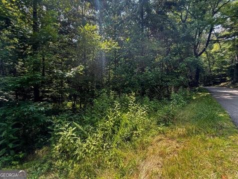 0 Highway 19 N Dahlonega GA 30533