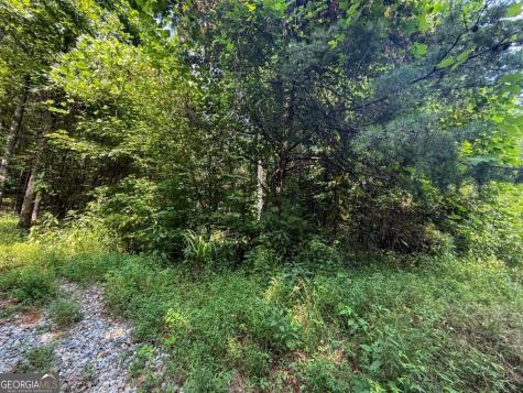 0 Highway 19 N Dahlonega GA 30533