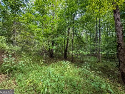0 Highway 19 N Dahlonega GA 30533