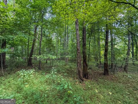 0 Highway 19 N Dahlonega GA 30533
