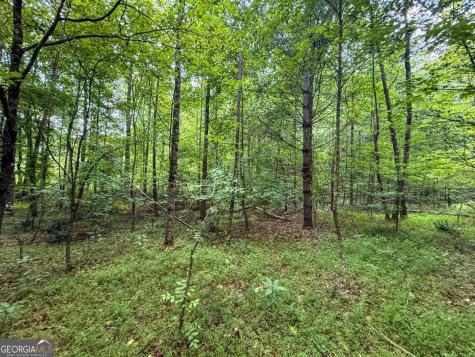 0 Highway 19 N Dahlonega GA 30533