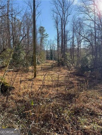 0 Highway 19 N Dahlonega GA 30533