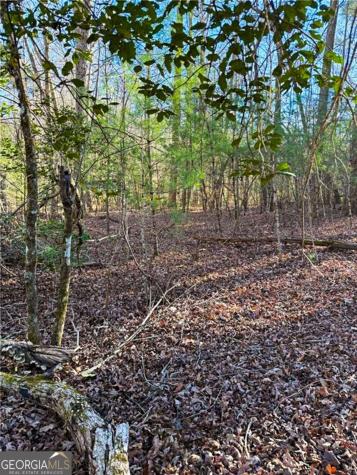 0 Highway 19 N Dahlonega GA 30533
