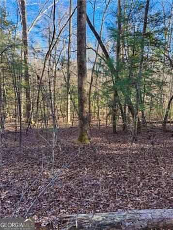 0 Highway 19 N Dahlonega GA 30533
