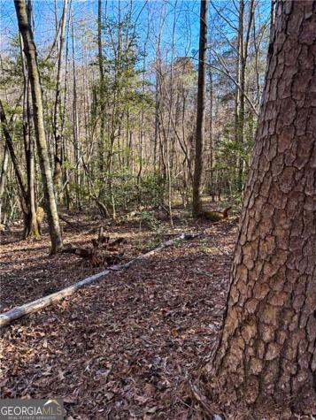0 Highway 19 N Dahlonega GA 30533