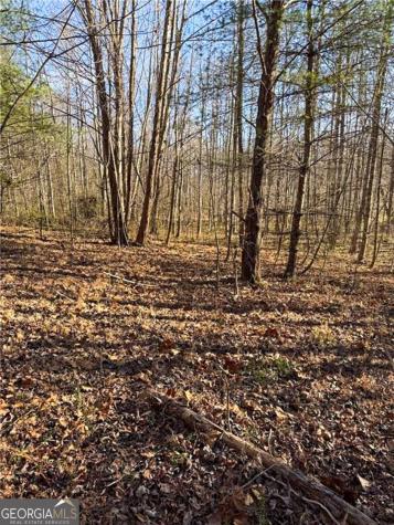 0 Highway 19 N Dahlonega GA 30533