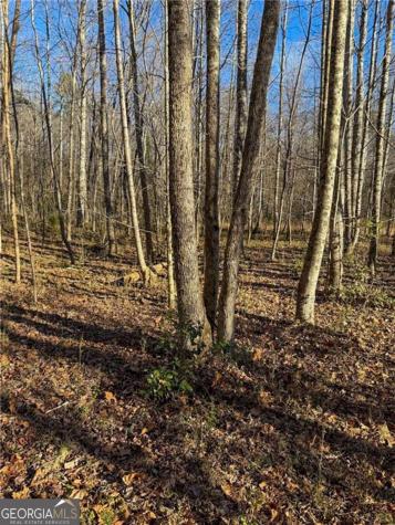 0 Highway 19 N Dahlonega GA 30533