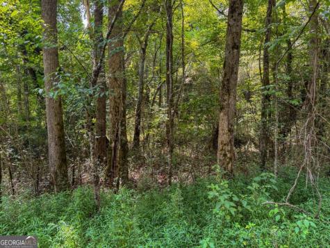 0 Highway 19 N Dahlonega GA 30533