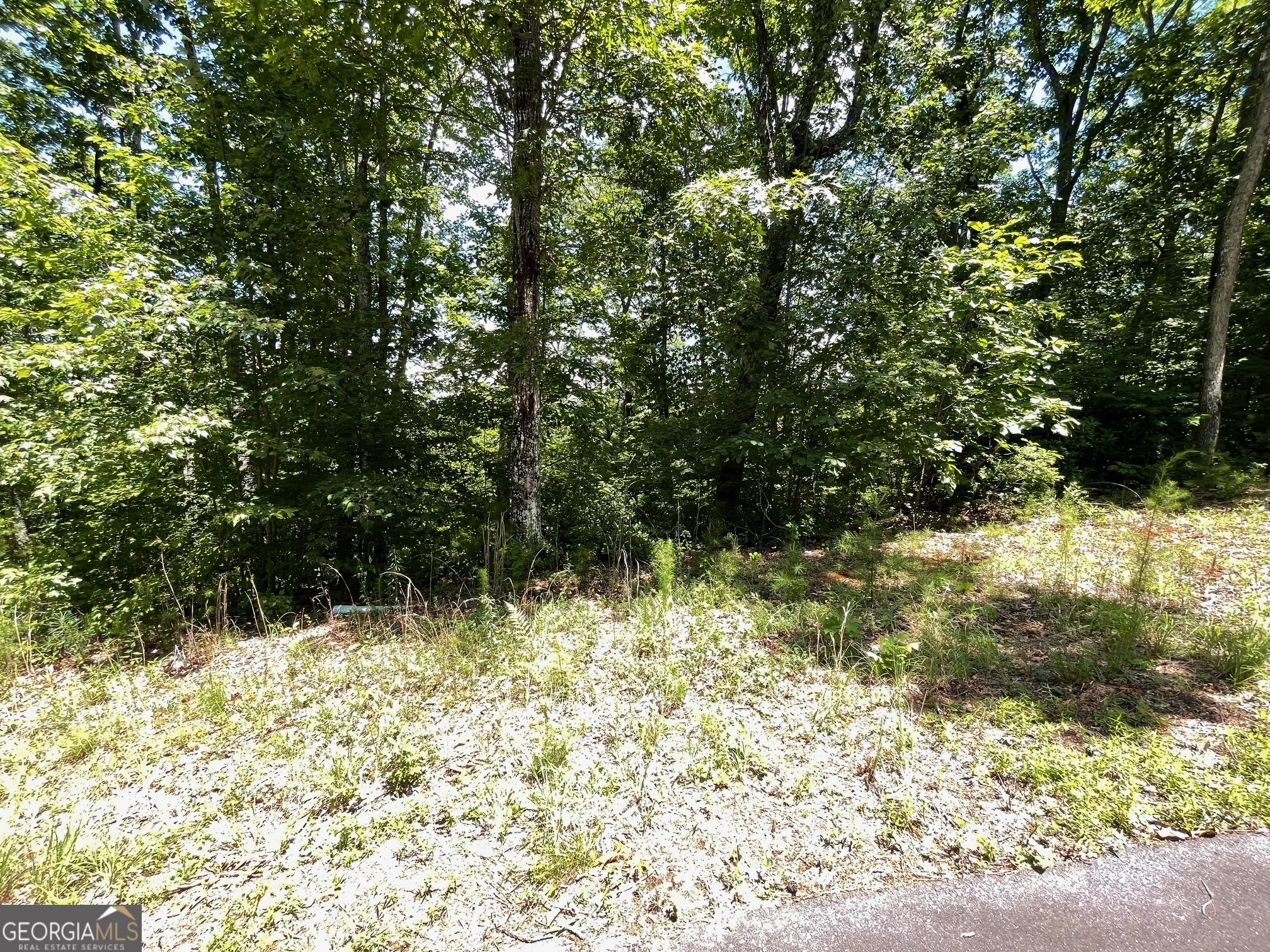 Lot 20 Fodder Creek Mill Drive Hiawassee GA 30546