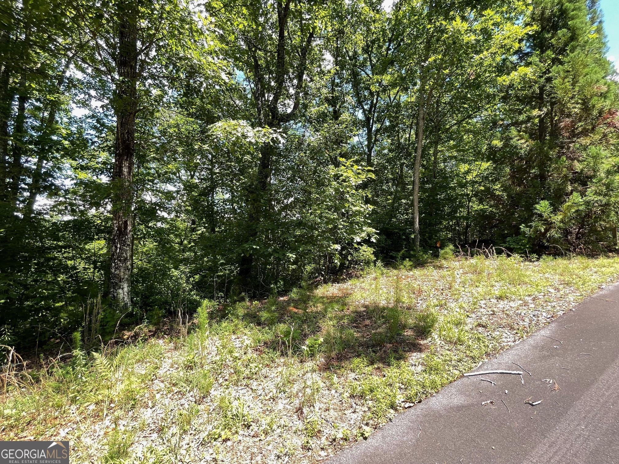 Lot 20 Fodder Creek Mill Drive Hiawassee GA 30546
