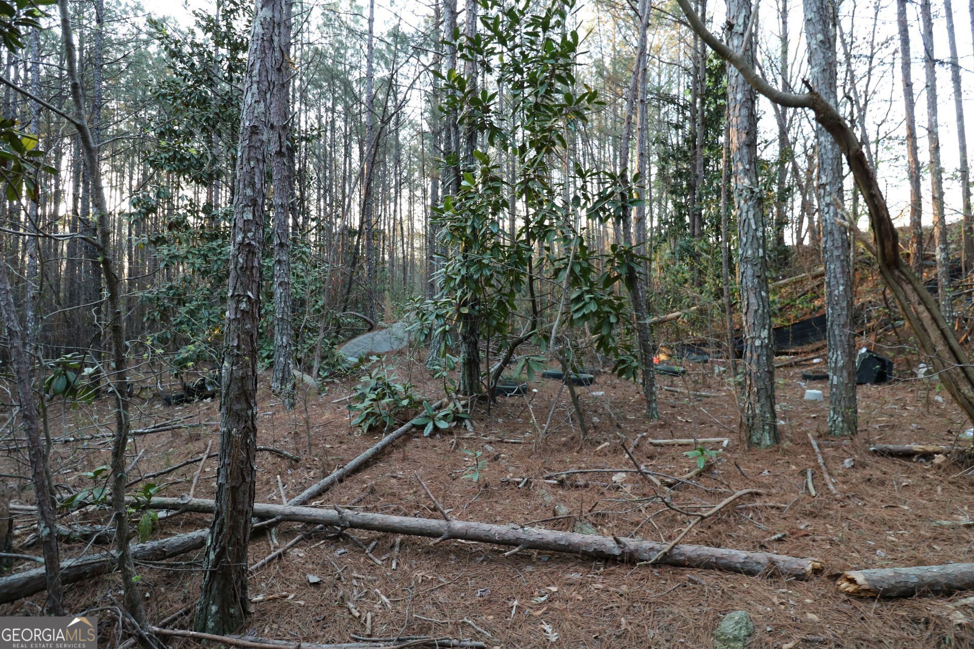 0 Causey Chapel Circle Austell GA 30106