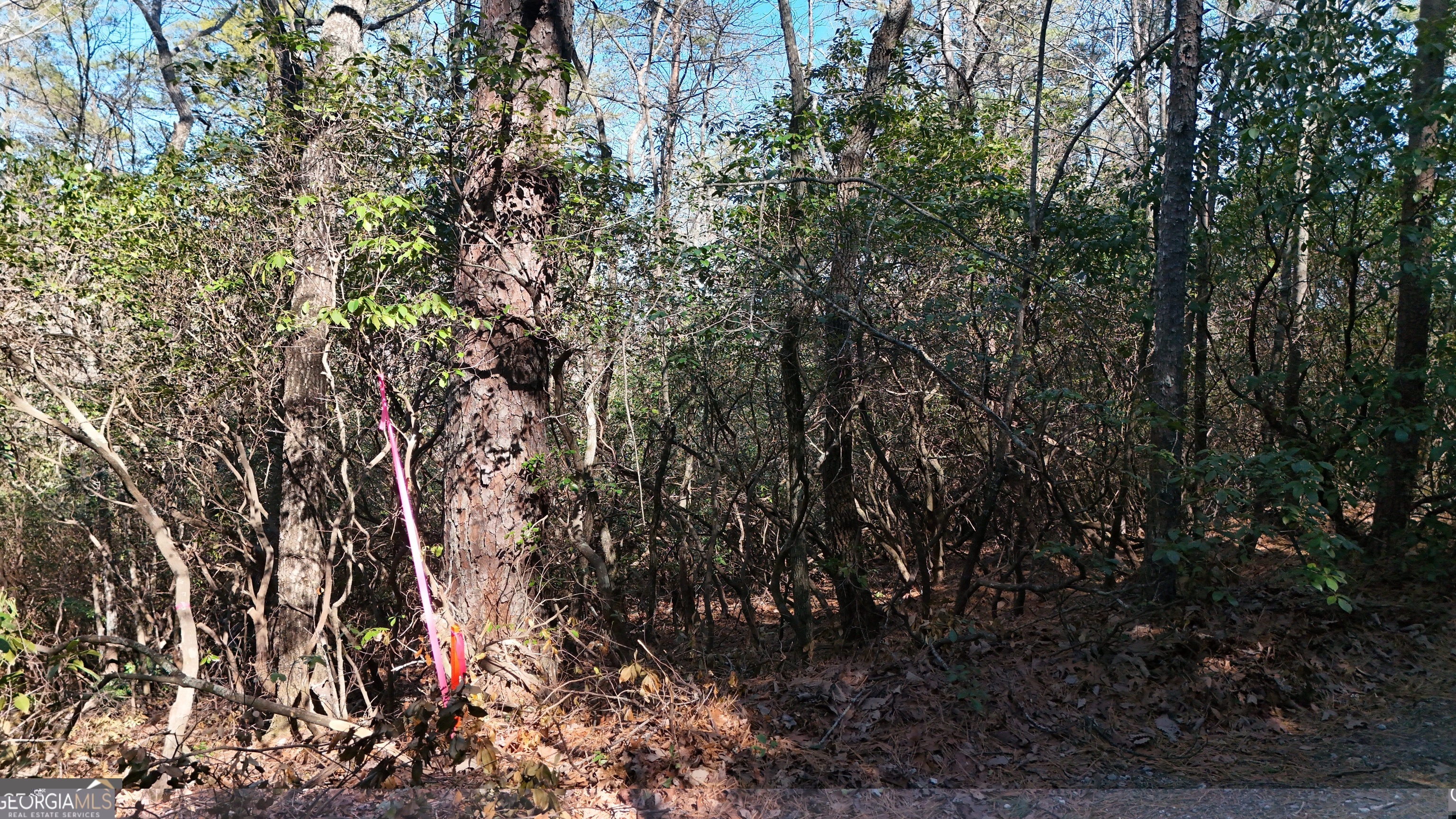 Lot 2 Crumley Creek Road Sautee Nacoochee GA 30571