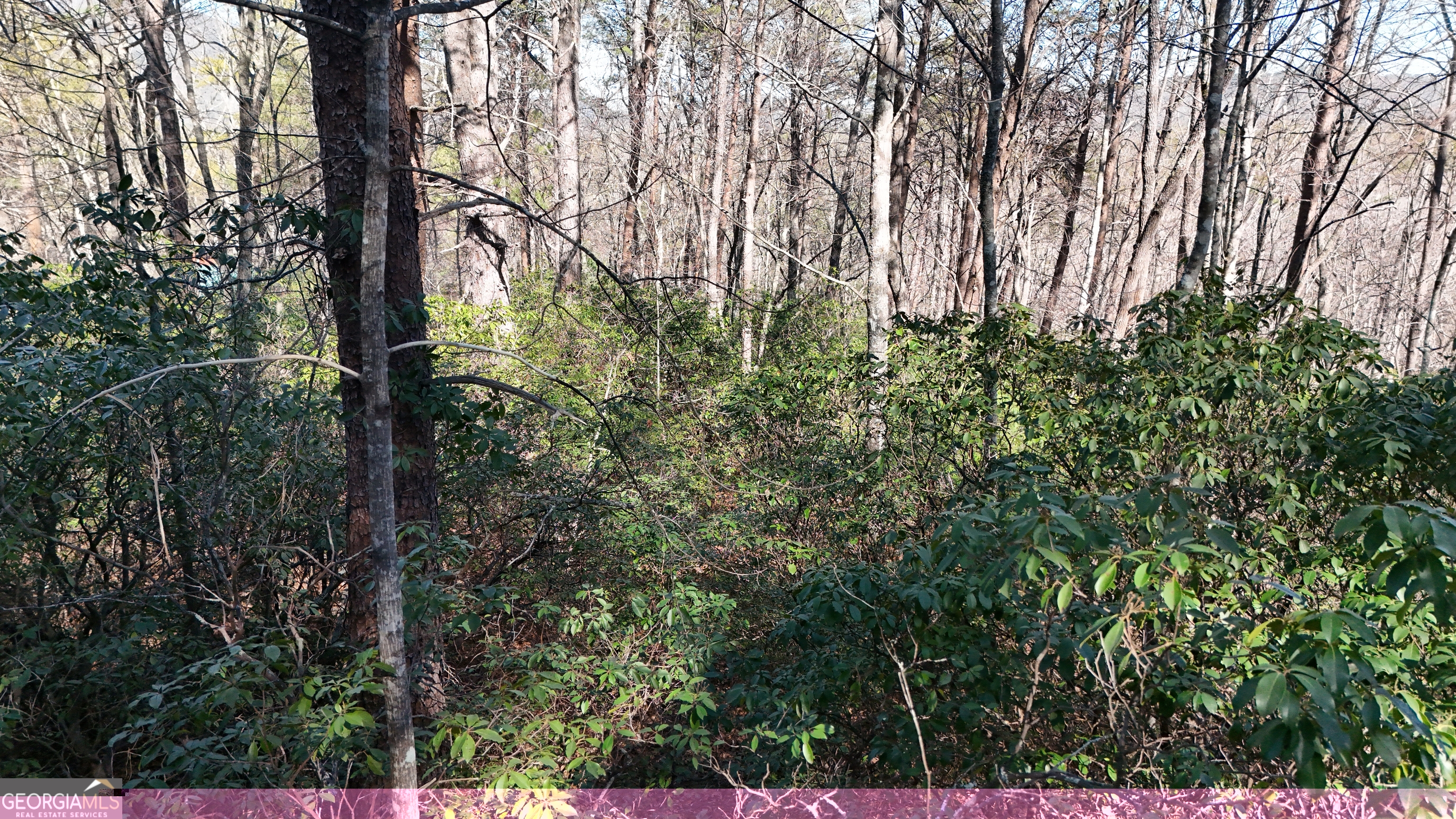 Lot 2 Crumley Creek Road Sautee Nacoochee GA 30571