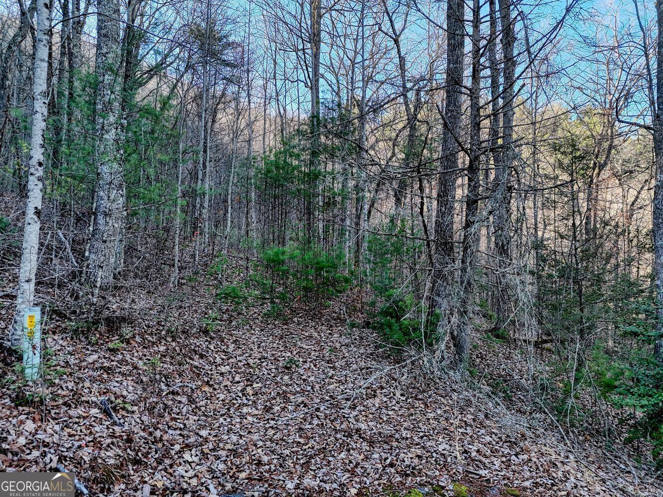Lot 28 Highland Falls Blairsville GA 30512