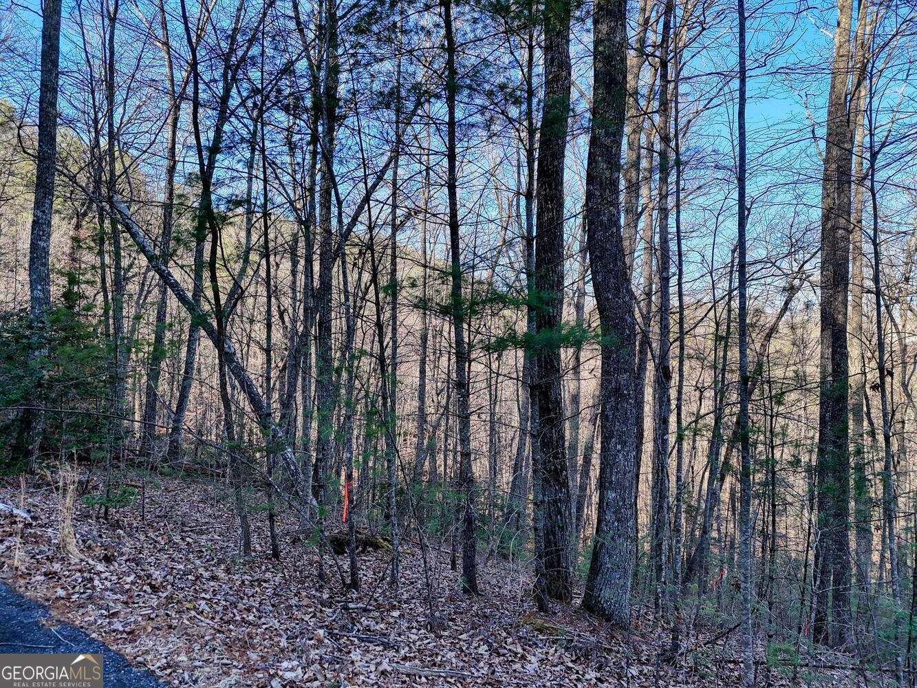 Lot 28 Highland Falls Blairsville GA 30512