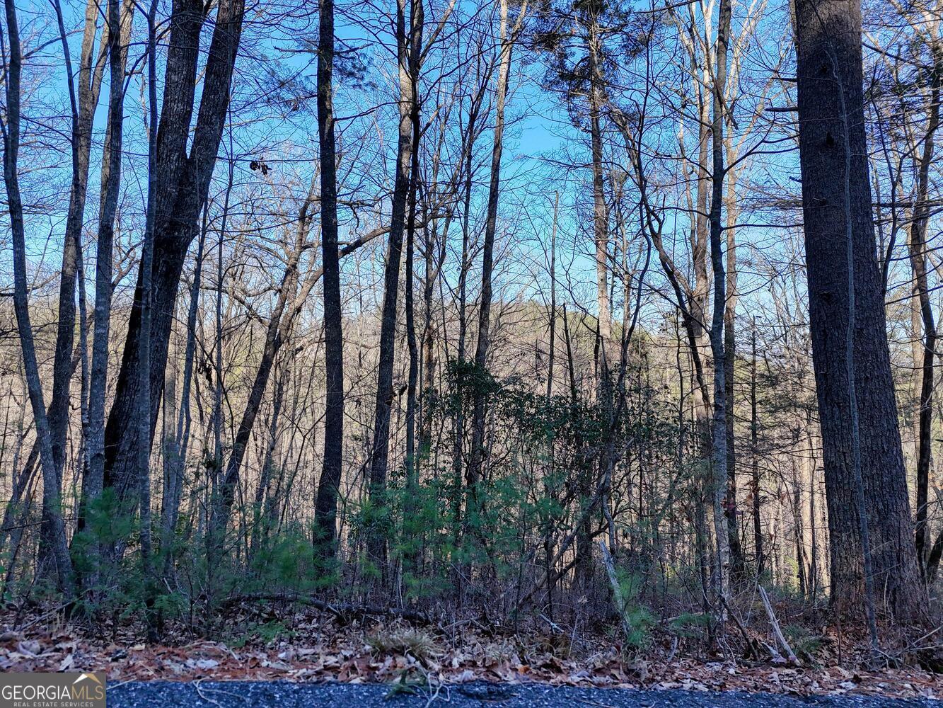 Lot 28 Highland Falls Blairsville GA 30512