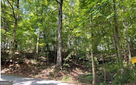 #7 Mountain Drive North Hiawassee GA 30546