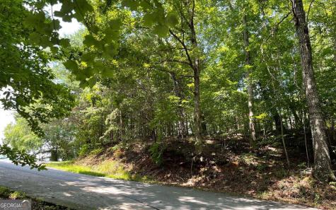 #7 Mountain Drive North Hiawassee GA 30546