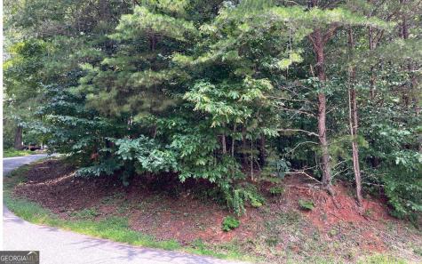 #7 Mountain Drive North Hiawassee GA 30546