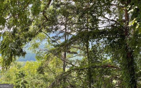 #7 Mountain Drive North Hiawassee GA 30546
