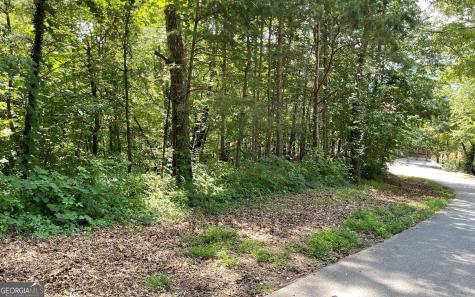 #7 Mountain Drive North Hiawassee GA 30546