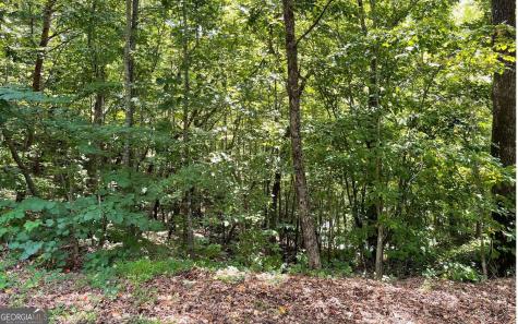 #7 Mountain Drive North Hiawassee GA 30546
