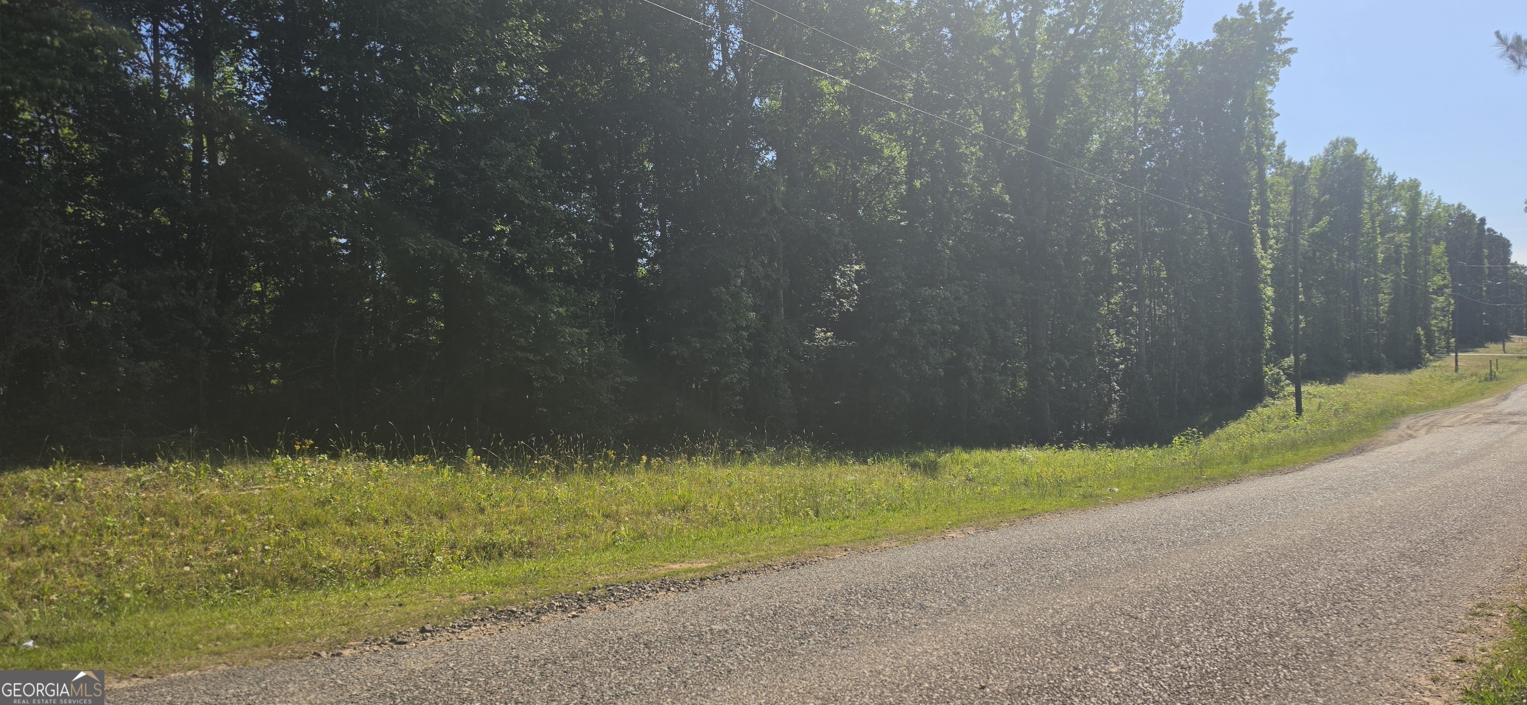 Lot 55 Groundhog Drive Greenville GA 30222