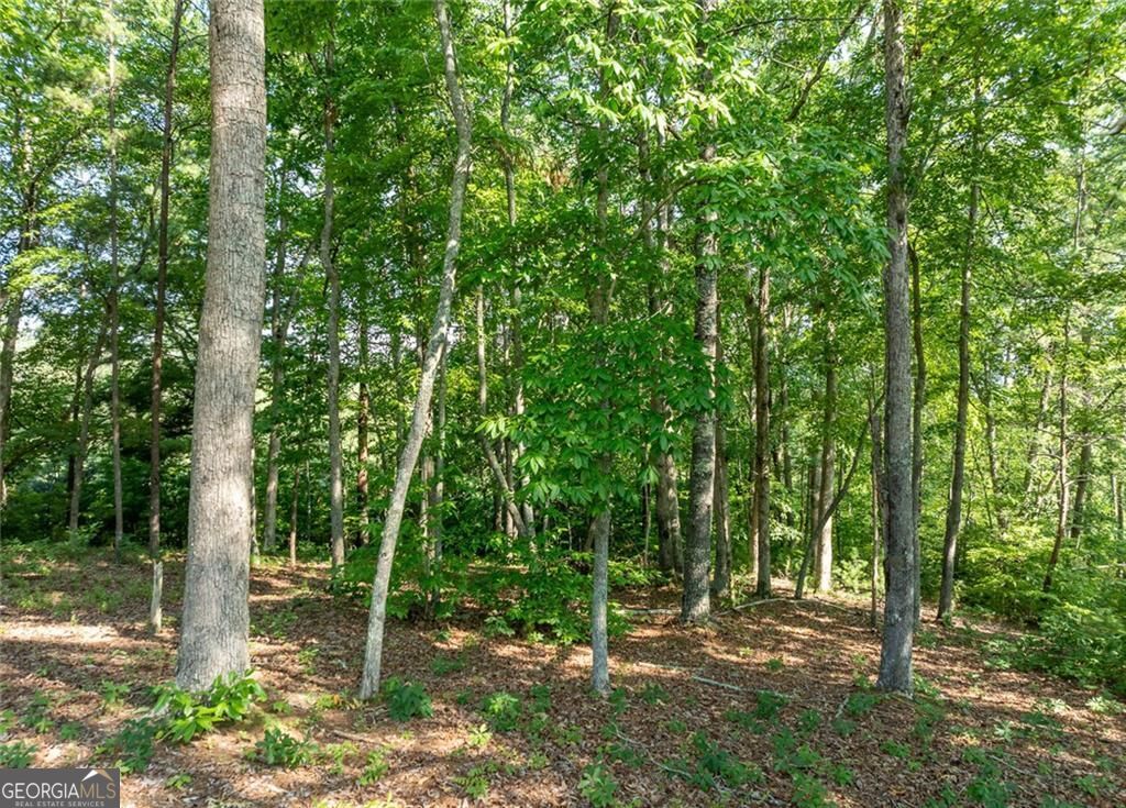 34 Windfield Circle Blue Ridge GA 30513