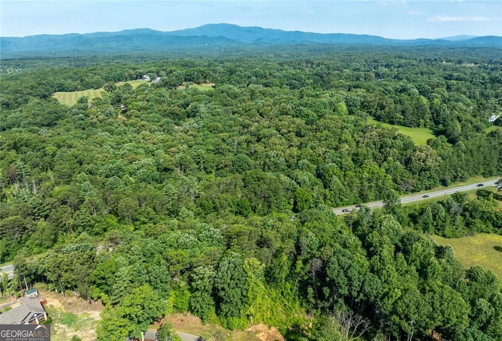 34 Windfield Circle Blue Ridge GA 30513